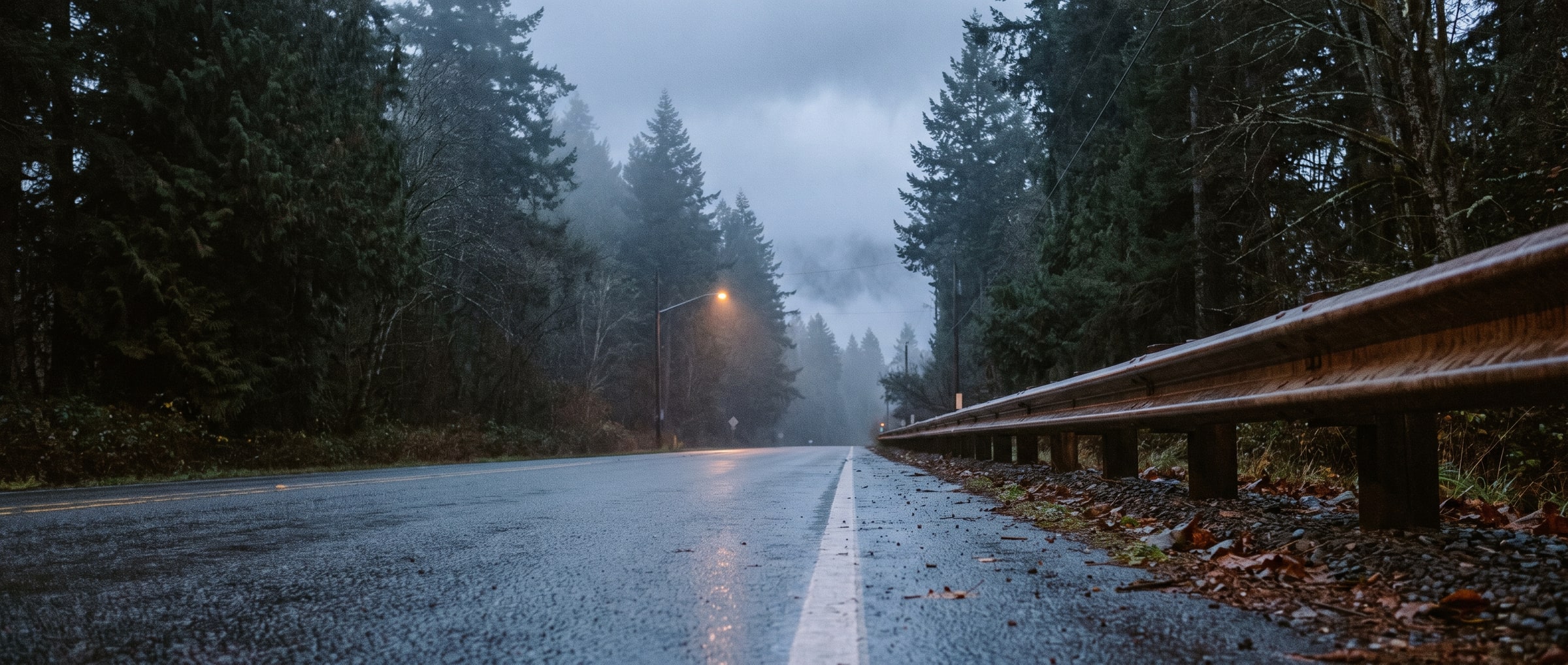 An empty two-lane road at dusk, wet with rain, running between dark stands of fir into low cloud